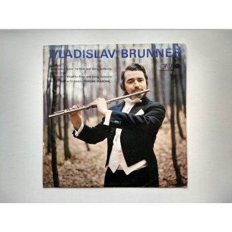 Vladislav Brunner ml. - Koncerty
