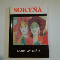 Sokyňa