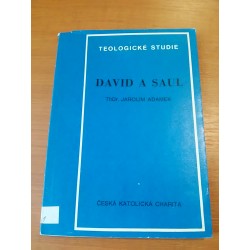 David a Saul