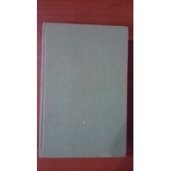 Revanš / Dvojníci / Neznámy č. 89