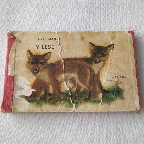 V lese
