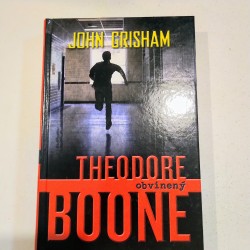 Theodore Boone 3. - Obvinený