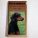 Doberman