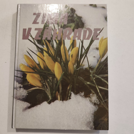 Zima v záhrade