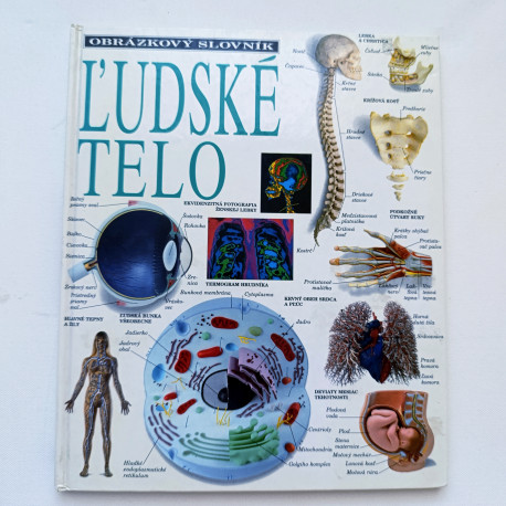 Ľudské telo - obrázkový slovník