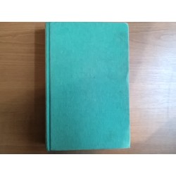 Revanš / Dvojníci / Neznámy č. 89